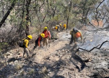 Gobierno de Sonora combate incendio forestal en Agua Prieta