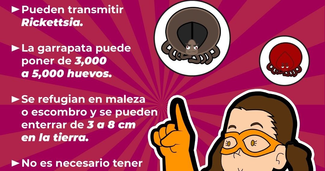 Trabaja Gobierno de Sonora en acciones preventivas contra la rickettsiosis