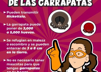 Trabaja Gobierno de Sonora en acciones preventivas contra la rickettsiosis