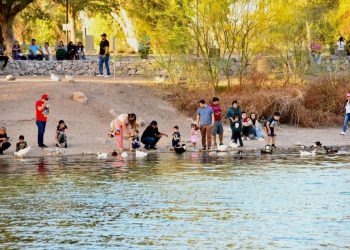 Gobierno de Sonora invita a vivir la naturaleza y el esparcimiento en familia en La Sauceda este fin de semana