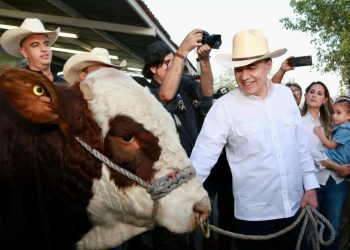 Anuncia Gobernador Durazo próxima reapertura para cruce de ganado por Agua Prieta a Estados Unidos