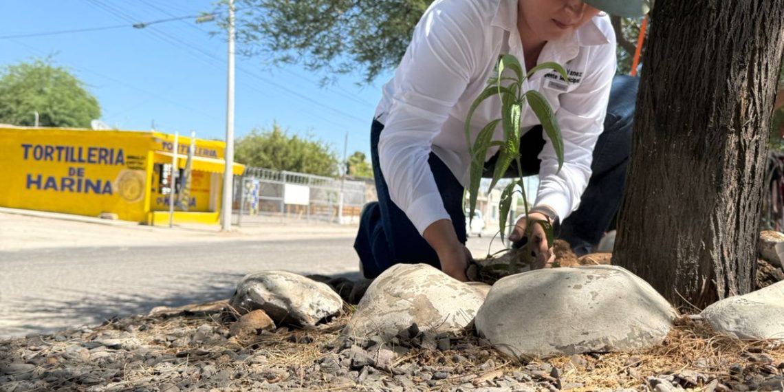 “Cada gota de agua cuenta en Hermosillo”: Partido Verde