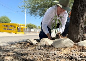 “Cada gota de agua cuenta en Hermosillo”: Partido Verde