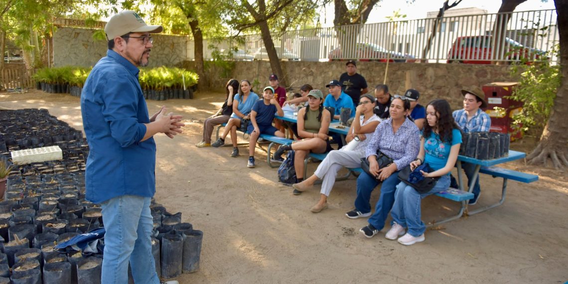 Imparten en Vivero Municipal Taller de Germinación a las y los hermosillenses
