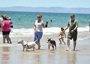 Disfrutan hermosillenses y visitantes la playa de Bahía de Kino este periodo vacacional