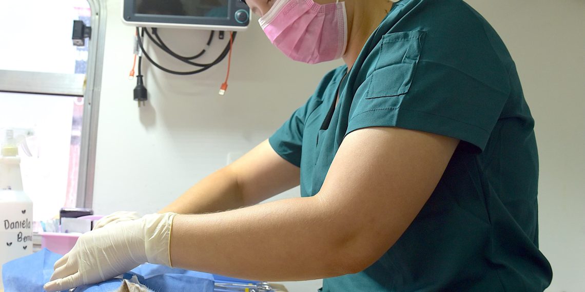 Registra administración de Toño Astiazarán casi 10 mil esterilizaciones de animales en la primera mitad del año