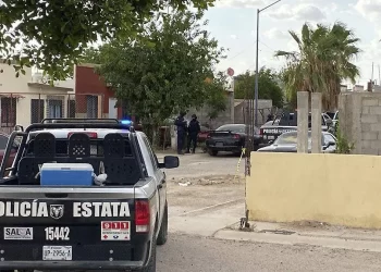 Asesinan a mujer dentro de su domicilio en Los Pinos