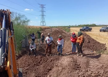 Identifican 14 de 26 osamentas halladas en predio agrícola de Cajeme