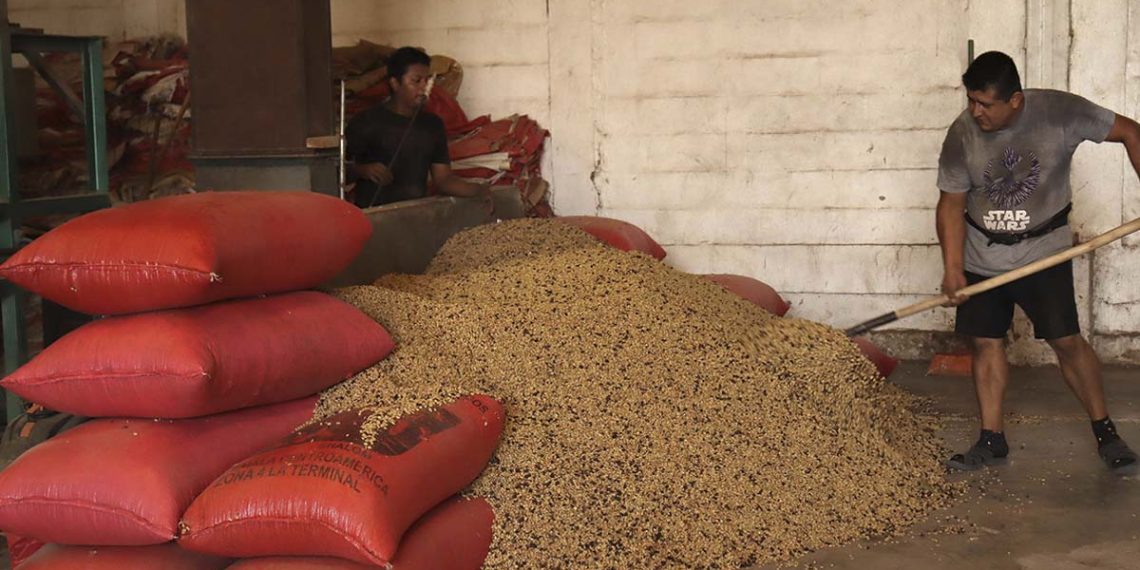 Incertidumbre arancelaria ya provoca “inflación de alimentos” en México: FIDA de la ONU