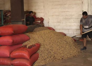 Incertidumbre arancelaria ya provoca “inflación de alimentos” en México: FIDA de la ONU