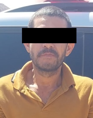 Binomios caninos del Gobierno de Sonora aseguran arma de fuego y detienen a persona por violencia familiar