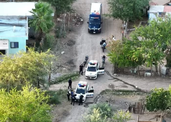Tras operativo en Cerro de la Campana en Hermosillo, caen otros dos menores “macheteros”