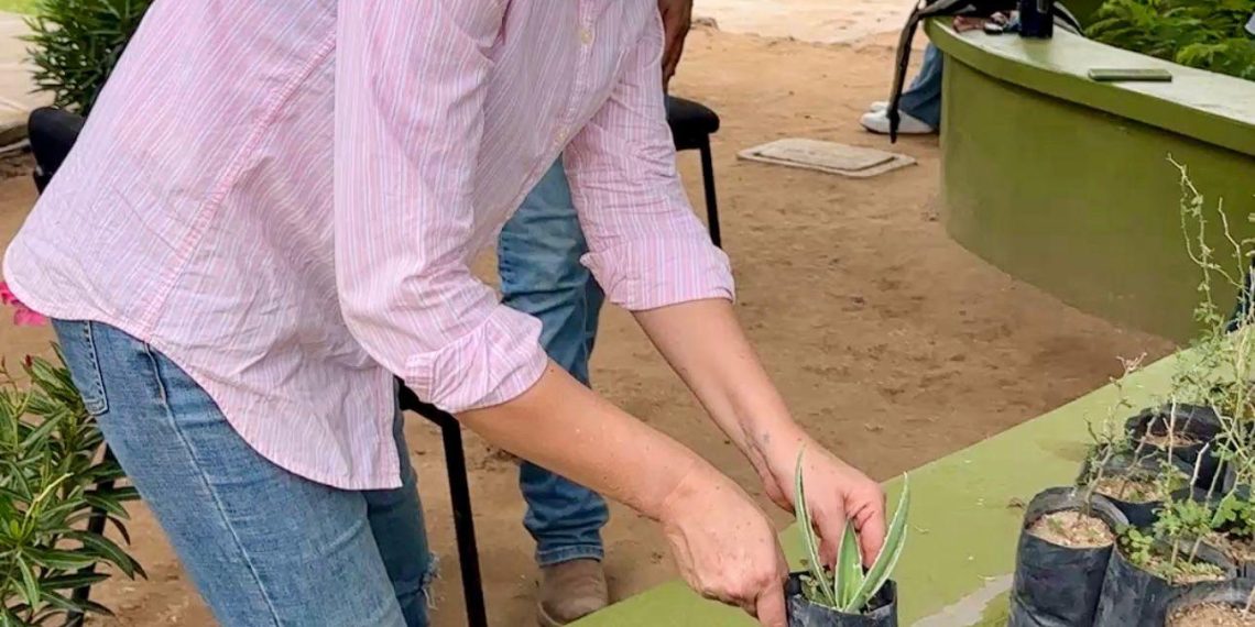 Gobierno de Sonora impulsa reforestación urbana con donación gratuita de plantas