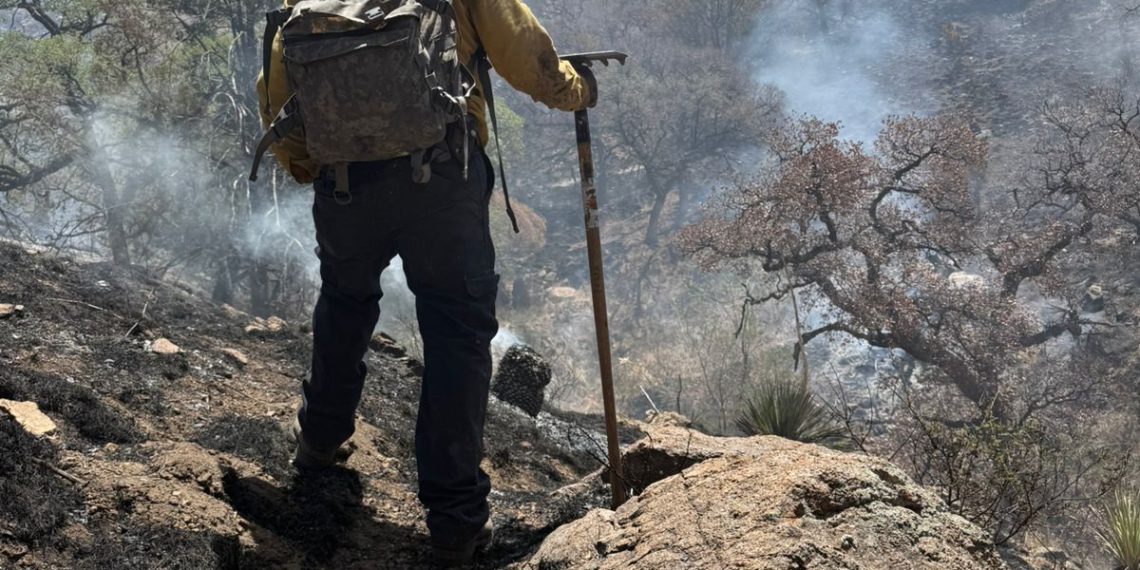 ¨Gobierno de Sonora logra liquidación total del incendio forestal en la Sierra Los Ajos
