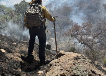 ¨Gobierno de Sonora logra liquidación total del incendio forestal en la Sierra Los Ajos
