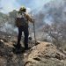 ¨Gobierno de Sonora logra liquidación total del incendio forestal en la Sierra Los Ajos