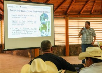 Gobierno de Sonora fortalece acciones de prevención contra el gusano barrenador en la entidad