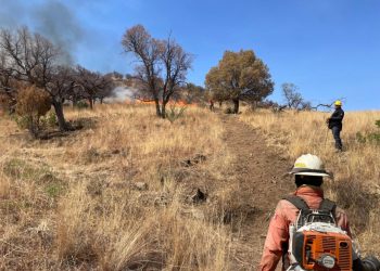 Gobierno de Sonora logra liquidación total del incendio forestal en la Sierra Los Ajos