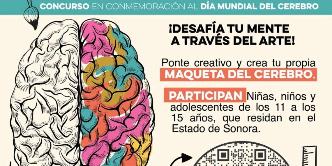 Invita Gobierno de Sonora a participar en el concurso “Conéctate con tu cerebro”