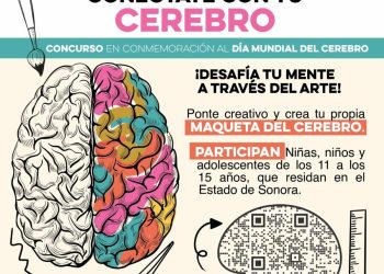 Invita Gobierno de Sonora a participar en el concurso “Conéctate con tu cerebro”