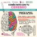 Invita Gobierno de Sonora a participar en el concurso “Conéctate con tu cerebro”