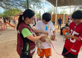 Gobierno de Sonora intensifica acciones territoriales contra la rickettsiosis