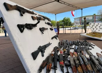 Destruyen más de 300 @rma.s de fu3g0 aseguradas en Sonora