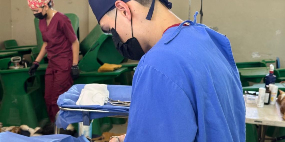 Brinda Gobierno de Sonora jornadas gratuitas de esterilización animal en Hermosillo