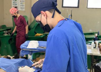 Brinda Gobierno de Sonora jornadas gratuitas de esterilización animal en Hermosillo