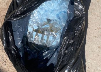 Asegura Gobierno de Sonora más de 650 envoltorios de narcótico en operativos coordinados en Cajeme