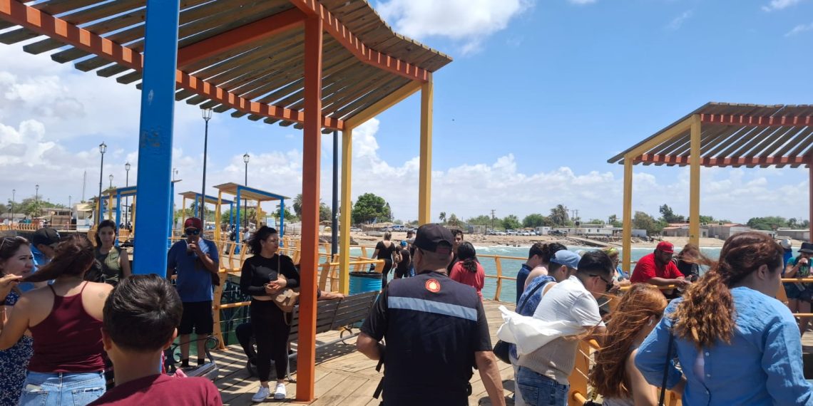 Continúa stand de Tesorería Municipal este domingo 17 en la Feria de Regreso a Clases 2025