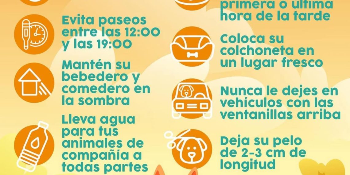 Recomienda IMPBA medidas para proteger a animales de compañía ante el calor