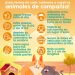 Recomienda IMPBA medidas para proteger a animales de compañía ante el calor