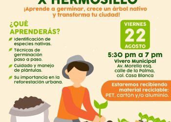 Invita Gobierno Municipal a Taller “Una Semilla x Hermosillo” para aprender a germinar y reforestar la ciudad