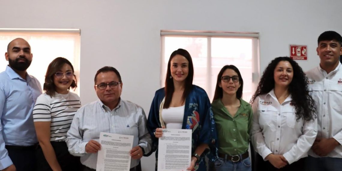 Gobierno de Sonora impulsa proyectos de sostenibilidad e innovación tecnológica en la región fronteriza