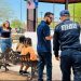 Trabajo operativo reduce incidencia delictiva de violencia familiar en Guaymas y Caborca: Gobierno de Sonora