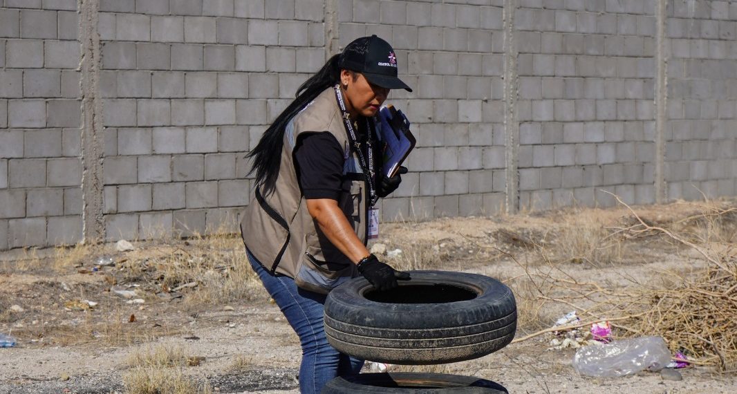 Gobierno de Sonora y municipios refuerzan acciones contra el dengue