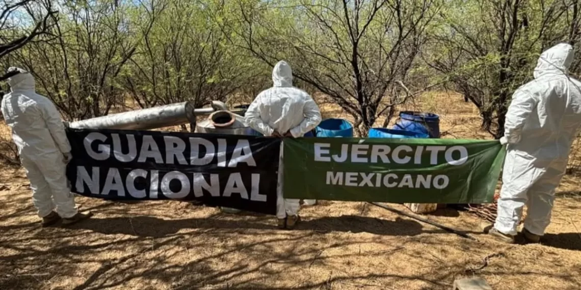 Desmantelan laboratorio de metanfetamina al norte del estado de Sonora