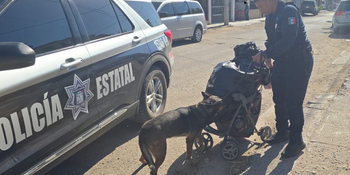 Más de 50 mil dosis de narcótico asegurado en operativos del Gobierno de Sonora en municipios