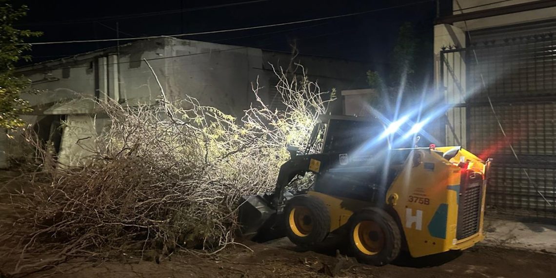 Atiende Protección Civil Municipal 35 reportes por fuertes vientos en Hermosillo