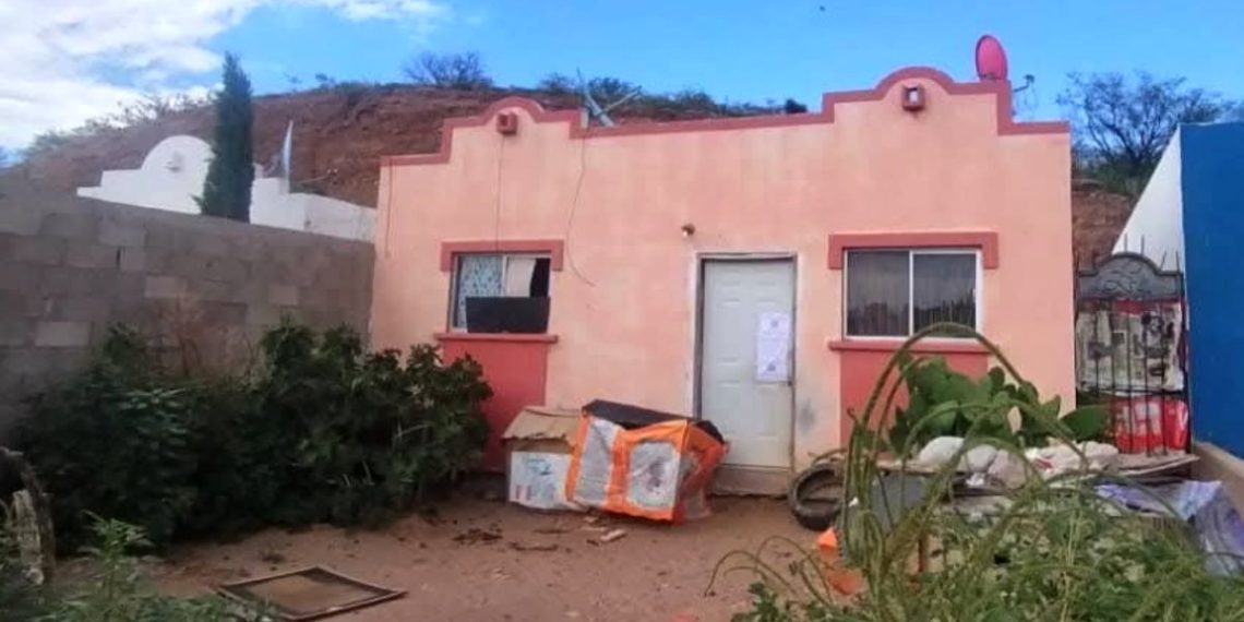 Incautan perros congelados y fileteados a expolicía federal en Nogales