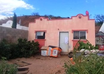 Incautan perros congelados y fileteados a expolicía federal en Nogales