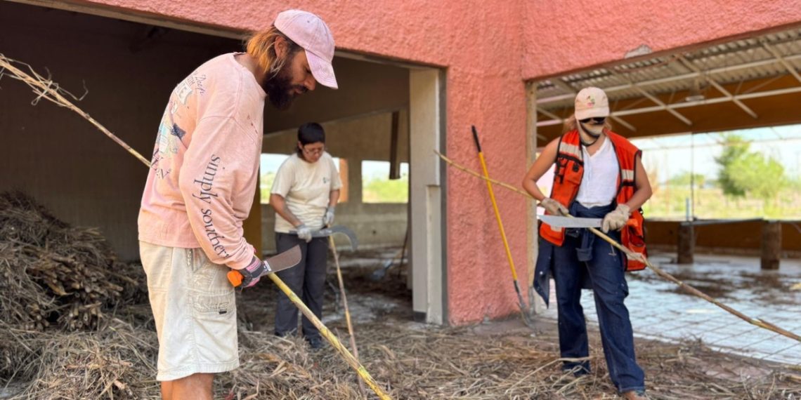 Gobierno de Sonora impulsa proyecto de bioconstrucción con carrizo en el Bosque Urbano La Sauceda