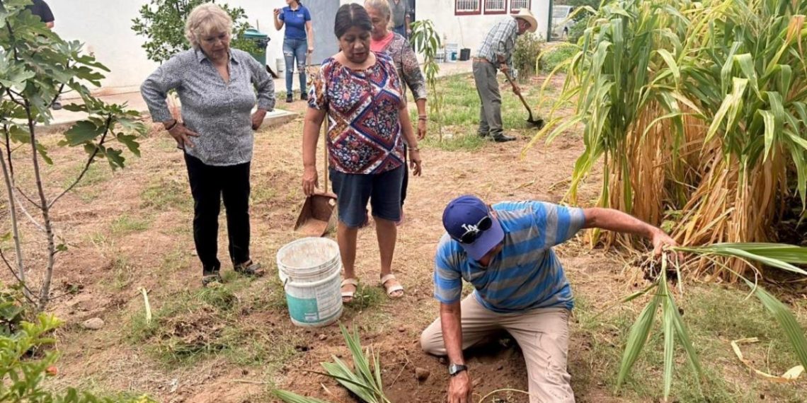 Invita Gobierno de Sonora a registrarse en la 3ra convocatoria del Programa Fomentando el Envejecimiento Activo: ISAAM