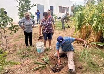 Invita Gobierno de Sonora a registrarse en la 3ra convocatoria del Programa Fomentando el Envejecimiento Activo: ISAAM