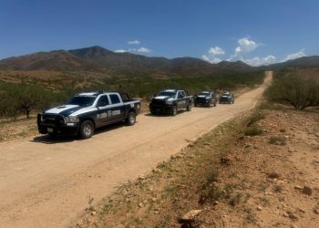 Más de 440 personas y 223 mil 413 envoltorios asegura operativo del Gobierno de Sonora en municipios