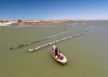 Gobierno de Sonora invita al Foro de Acuacultura Sonora 2025