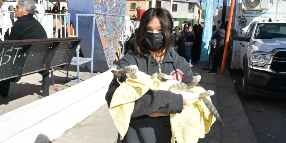 Continúa Gobierno de Hermosillo ofreciendo esterilizaciones gratuitas a caninos y felinos del 24 al 27 de septiembre 