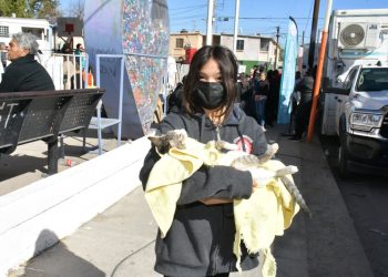 Continúa Gobierno de Hermosillo ofreciendo esterilizaciones gratuitas a caninos y felinos del 24 al 27 de septiembre 