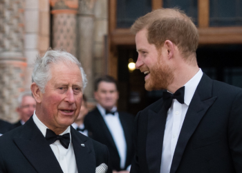 El Rey Carlos y Harry planean que reaparezcan juntos otras vez